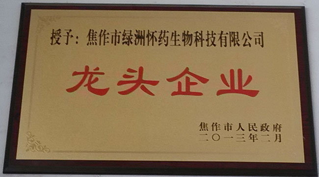 2013年龍頭企業(yè)