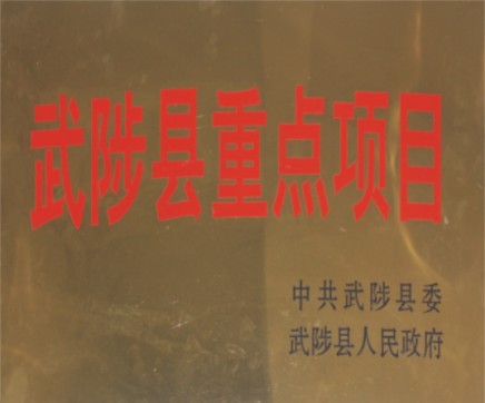 武陟縣重點項目