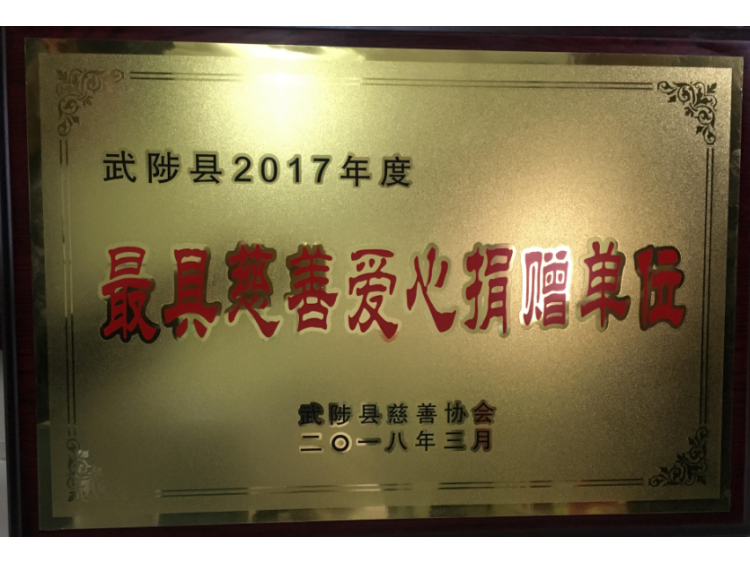 河南聖博中藥產(chǎn)業(yè)有限公司榮獲“最具慈善愛心捐贈單位”榮譽