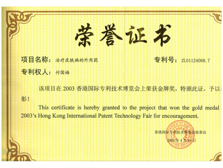 香港國際專利技術博覽會金牌獎