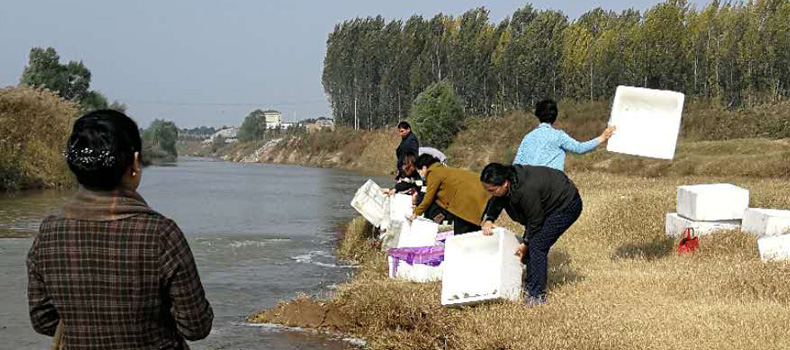 焦作市綠洲懷藥生物科技有限公司： 積極參加放生活動(dòng)，保護(hù)生態(tài)