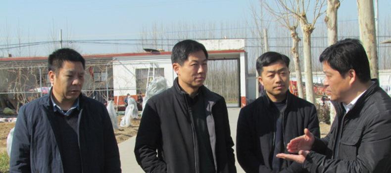 綠洲懷藥走訪慰問(wèn) 濃濃關(guān)懷顯真情